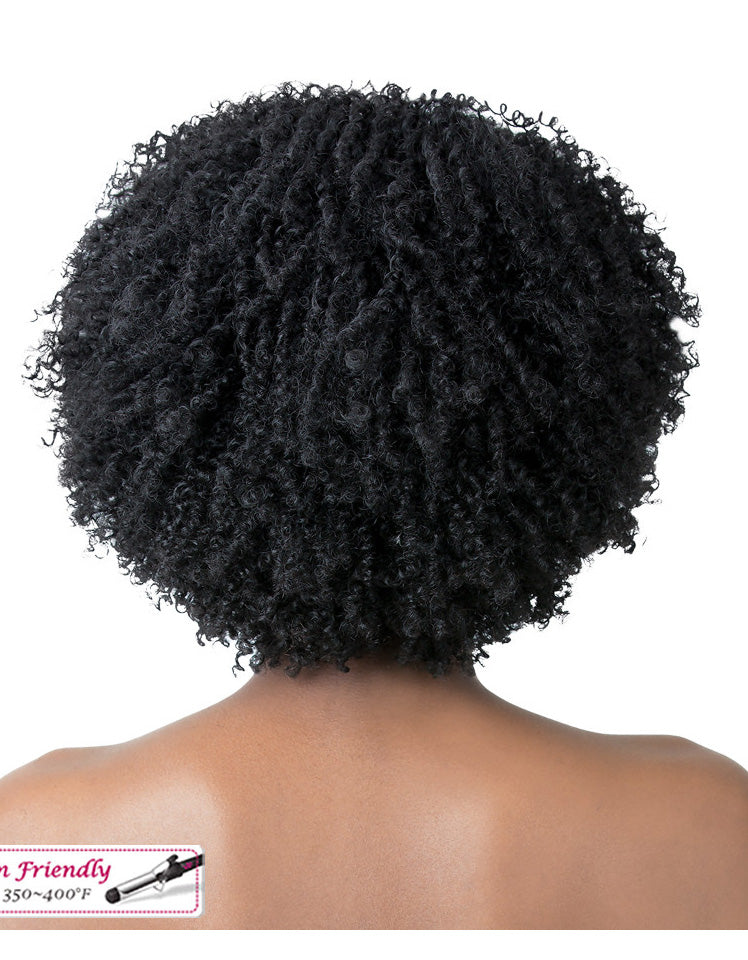 It's a wig - Iron friendly Wig COILY GIRL