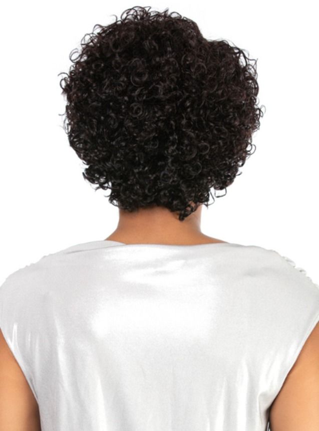 Harlem 125 - GoGo Master Wig GM909